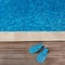 11.25" Florescent Blue Dolphin Recreational Swim Fins